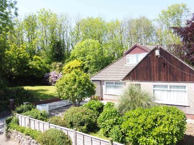 Three Estate Agents